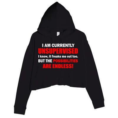 Currently Unsupervised Possibilities Are Endless Crop Fleece Hoodie