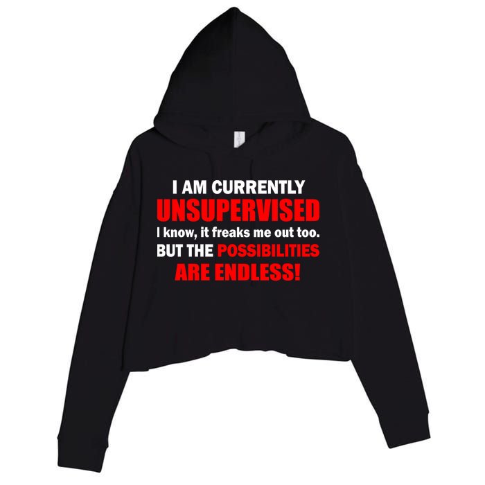 Currently Unsupervised Possibilities Are Endless Crop Fleece Hoodie