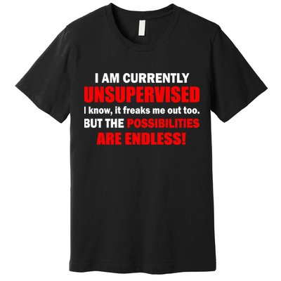 Currently Unsupervised Possibilities Are Endless Premium T-Shirt