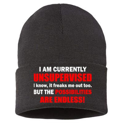 Currently Unsupervised Possibilities Are Endless Sustainable Knit Beanie