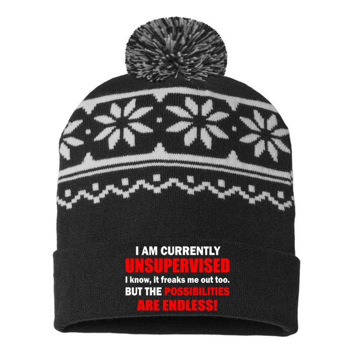 Currently Unsupervised Possibilities Are Endless USA-Made Snowflake Beanie