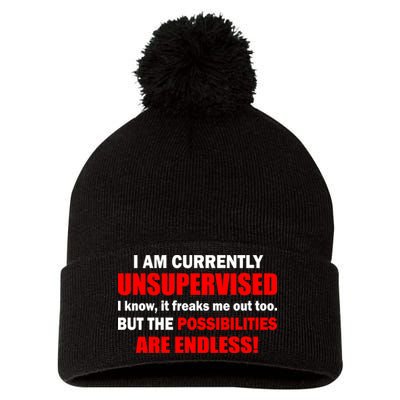 Currently Unsupervised Possibilities Are Endless Pom Pom 12in Knit Beanie