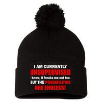 Currently Unsupervised Possibilities Are Endless Pom Pom 12in Knit Beanie