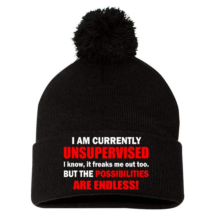 Currently Unsupervised Possibilities Are Endless Pom Pom 12in Knit Beanie