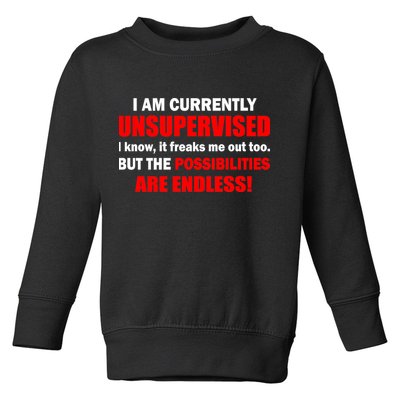 Currently Unsupervised Possibilities Are Endless Toddler Sweatshirt