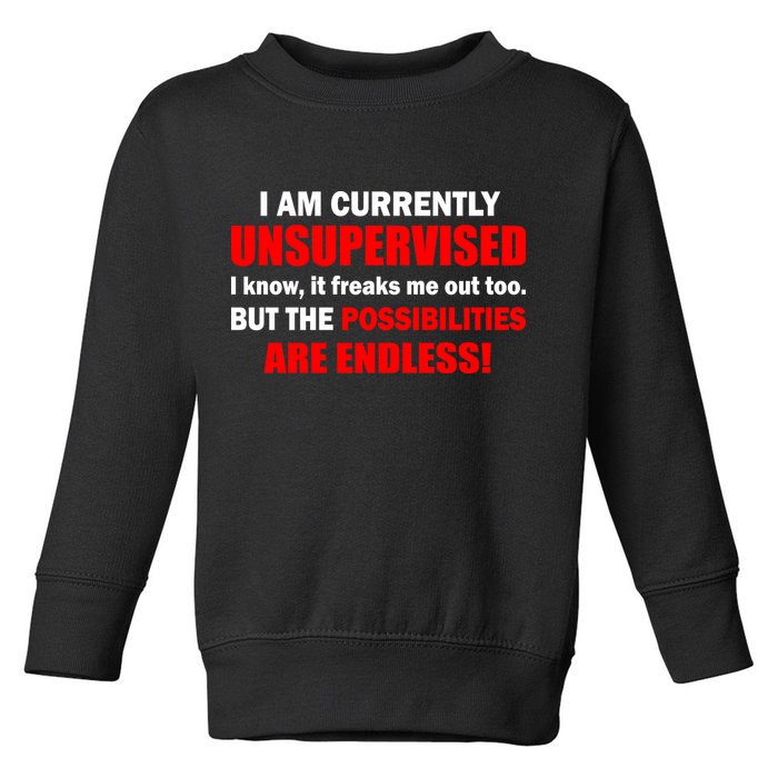 Currently Unsupervised Possibilities Are Endless Toddler Sweatshirt