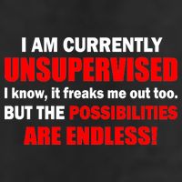 Currently Unsupervised Possibilities Are Endless Trucker Hat