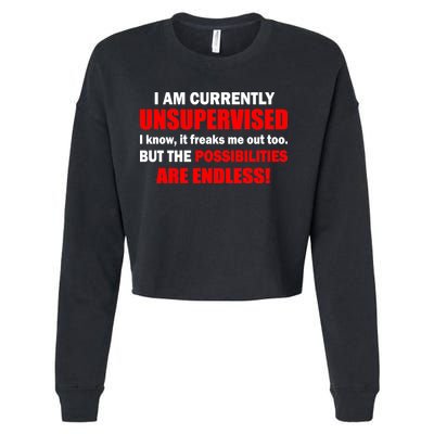 Currently Unsupervised Possibilities Are Endless Cropped Pullover Crew
