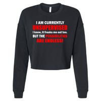 Currently Unsupervised Possibilities Are Endless Cropped Pullover Crew