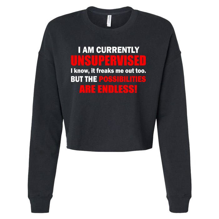 Currently Unsupervised Possibilities Are Endless Cropped Pullover Crew