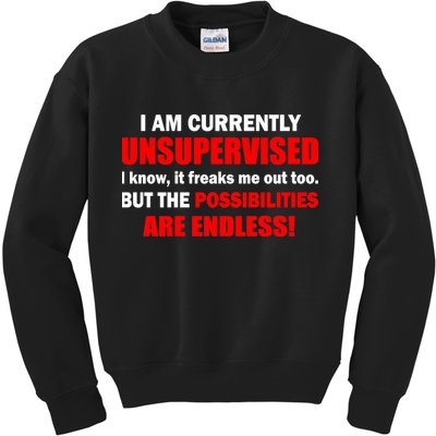 Currently Unsupervised Possibilities Are Endless Kids Sweatshirt