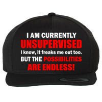 Currently Unsupervised Possibilities Are Endless Wool Snapback Cap