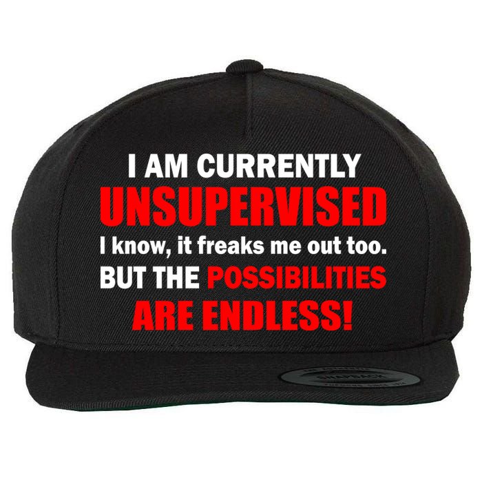 Currently Unsupervised Possibilities Are Endless Wool Snapback Cap