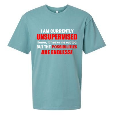 Currently Unsupervised Possibilities Are Endless Sueded Cloud Jersey T-Shirt