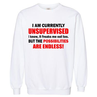 Currently Unsupervised Possibilities Are Endless Garment-Dyed Sweatshirt