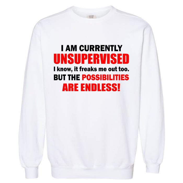 Currently Unsupervised Possibilities Are Endless Garment-Dyed Sweatshirt