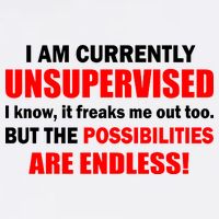 Currently Unsupervised Possibilities Are Endless Garment-Dyed Sweatshirt