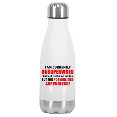 Currently Unsupervised Possibilities Are Endless Stainless Steel Insulated Water Bottle