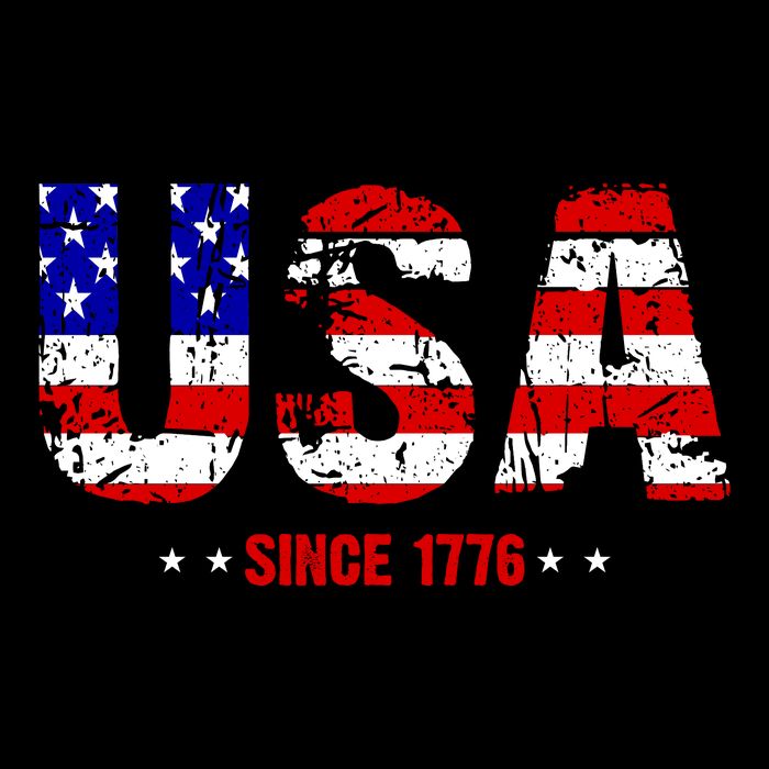 Chill Usa Since 1776 Backpack