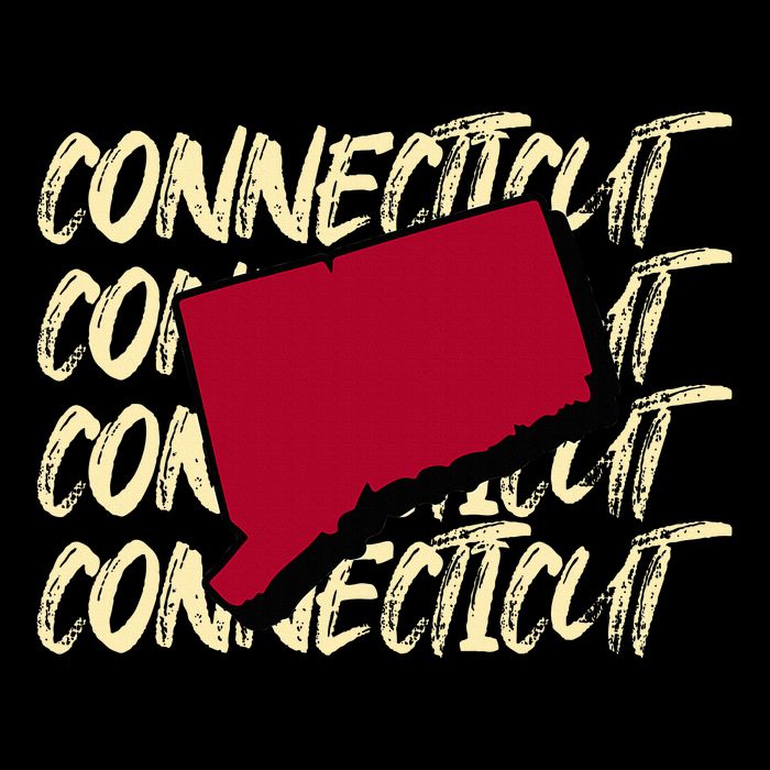 Connecticut Usa State American State Ct Conn Is Home Sustainable Bucket Hat