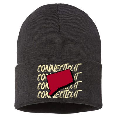 Connecticut Usa State American State Ct Conn Is Home Sustainable Knit Beanie