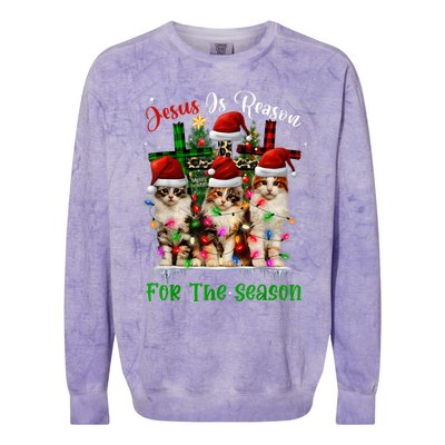 Christmas Ugly Sweater Cats Jesus Is Reason For The Season Great Gift Colorblast Crewneck Sweatshirt