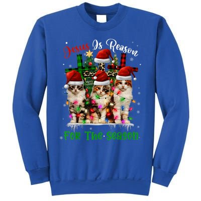 Christmas Ugly Sweater Cats Jesus Is Reason For The Season Great Gift Sweatshirt