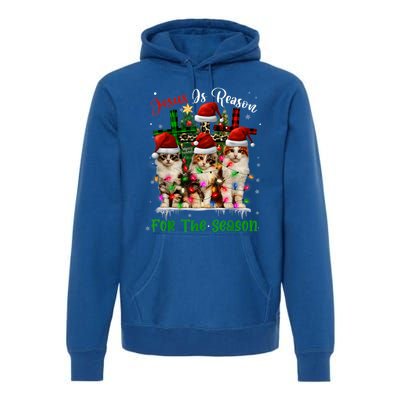 Christmas Ugly Sweater Cats Jesus Is Reason For The Season Great Gift Premium Hoodie