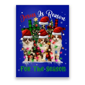 Christmas Ugly Sweater Cats Jesus Is Reason For The Season Great Gift Poster