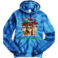 Christmas Ugly Sweater Cats Jesus Is Reason For The Season Great Gift Tie Dye Hoodie