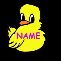 Custom Chick Funny Cute Personalize Tall T-Shirt