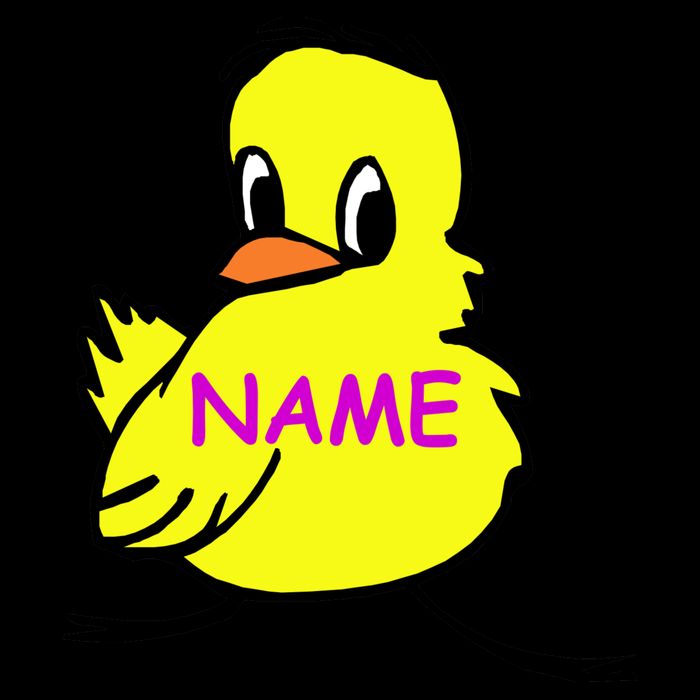 Custom Chick Funny Cute Personalize Tall T-Shirt