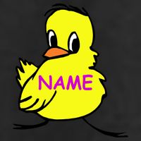 Custom Chick Funny Cute Personalize Microfiber Hand Towel