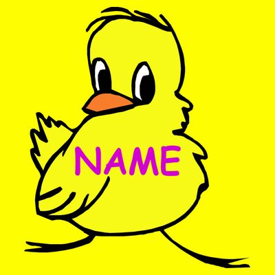 Custom Chick Funny Cute Personalize T-Shirt