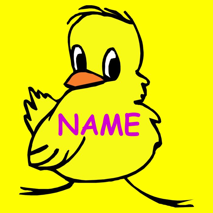 Custom Chick Funny Cute Personalize Magnet