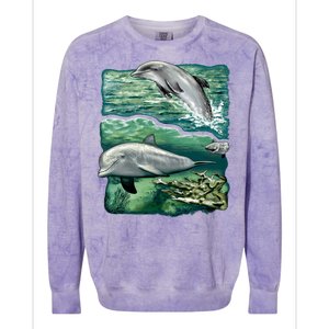 Cute Abstract dolphins In Sea Life Colorblast Crewneck Sweatshirt