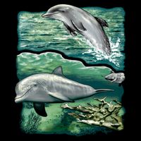 Cute Abstract dolphins In Sea Life 16 in Basic Backpack