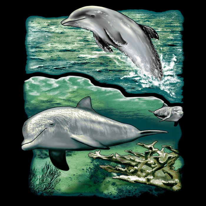 Cute Abstract dolphins In Sea Life 16 in Basic Backpack