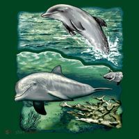 Cute Abstract dolphins In Sea Life Button