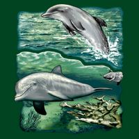 Cute Abstract dolphins In Sea Life Poster