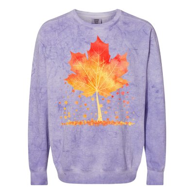 Cute Autumn Maple Leaf Tree Colorblast Crewneck Sweatshirt