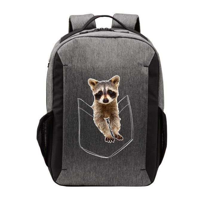 Cute Baby Raccoon In A Pocket Vector Backpack