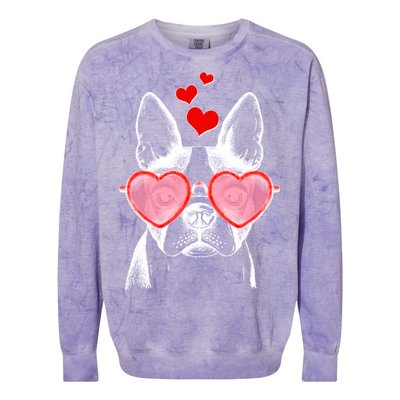 Cute Boston Terrier Colorblast Crewneck Sweatshirt