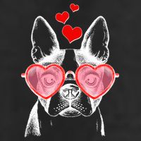Cute Boston Terrier 11oz C Handle Ceramic Mug