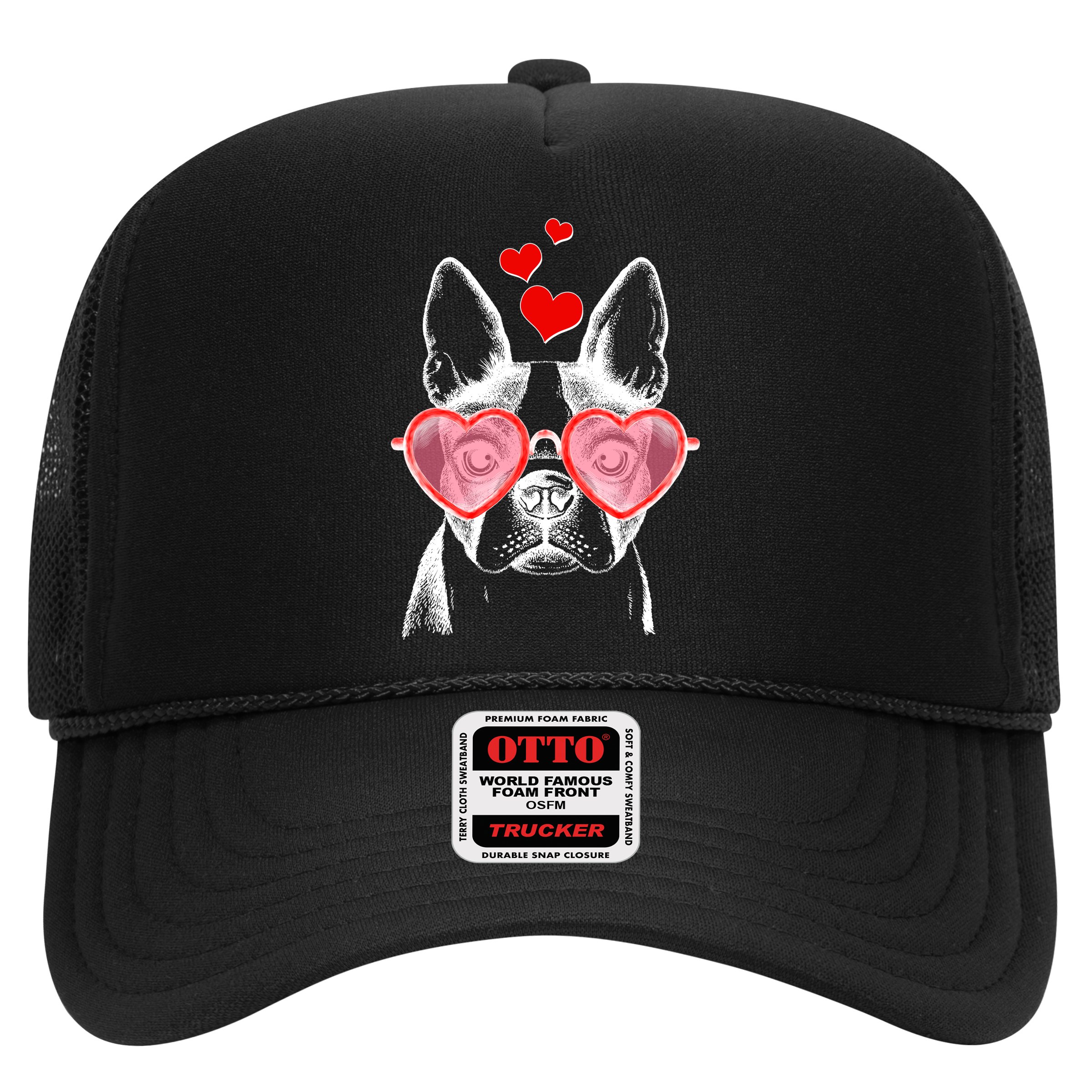 Cute Boston Terrier Hat