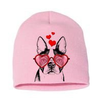 Cute Boston Terrier Short Acrylic Beanie