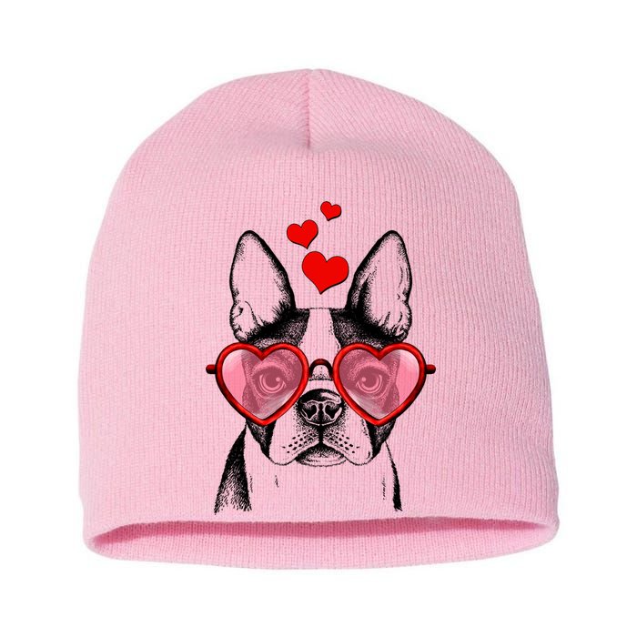 Cute Boston Terrier Short Acrylic Beanie