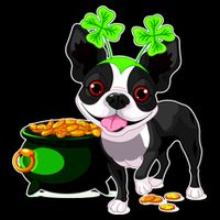 Cute Boston Terrier Shamrock St. Patrick's Day Drawstring Bag