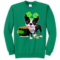 Cute Boston Terrier Shamrock St. Patrick's Day Sweatshirt