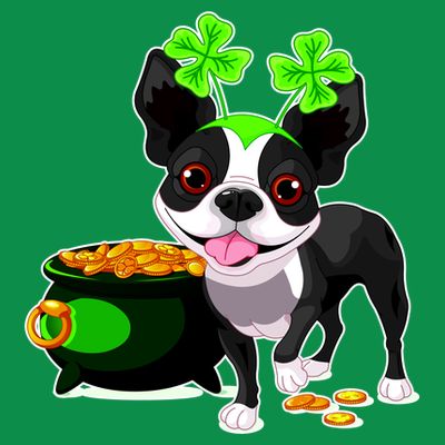 Cute Boston Terrier Shamrock St. Patrick's Day T-Shirt